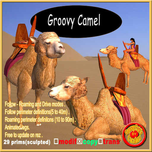 **Groovy Camel