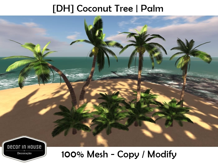 [DH] Coconut Tree / Palmera