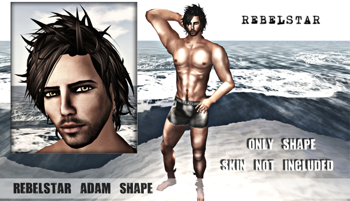 Rebelstar Adam Shape (High Quality)