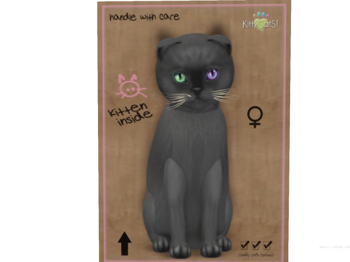 KittyCatS Box - 9 T - F - Burmese - Blue