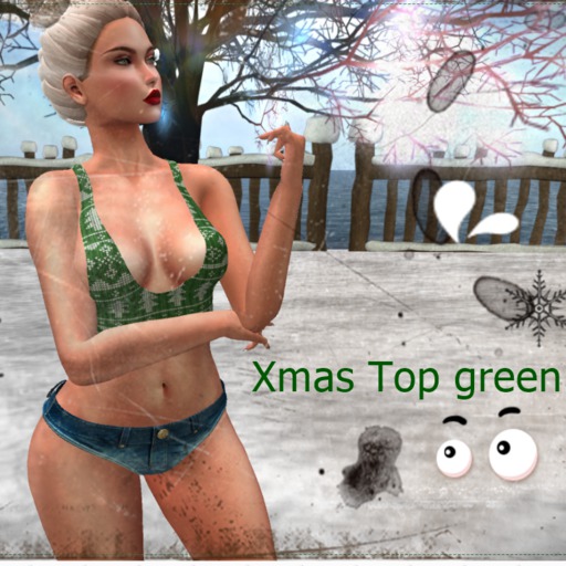 Mesh Gift Box green top