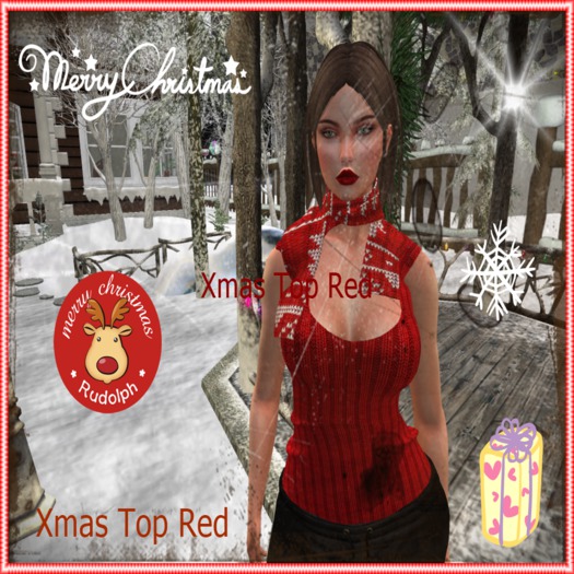 Mesh Gift Box _scarf Top Red