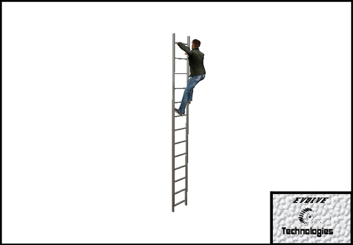 Steel Ladder  - Climbable - 5m