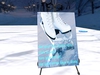 Skates 001
