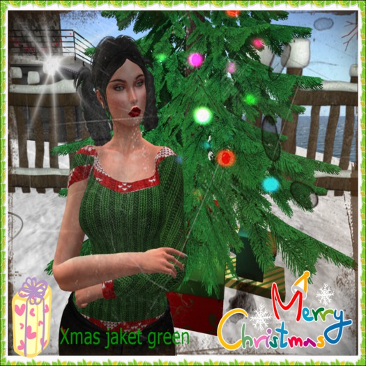  Mesh Gift Box jacket green