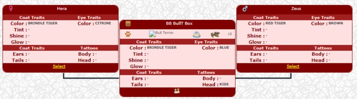 BB BullT Box
