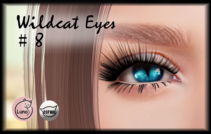 LUNACAT > Wildcat Eyes < [#8]