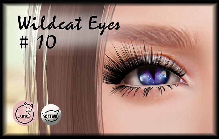 LUNACAT > Wildcat Eyes < [#10]