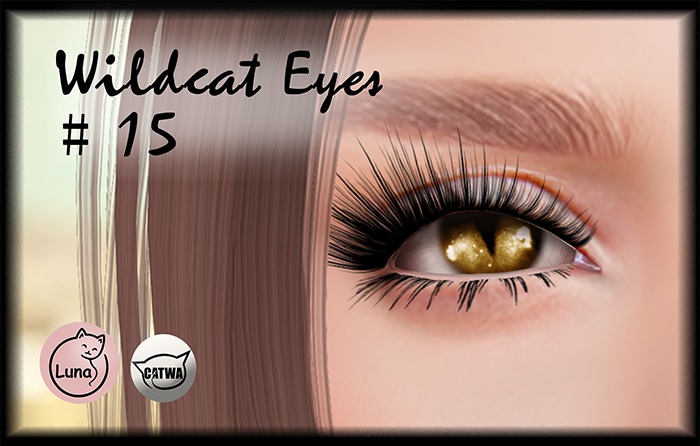 LUNACAT > Wildcat Eyes < [#15]