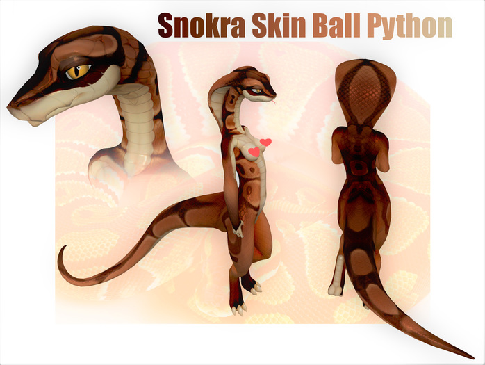 SNOKRA  APPLIER ball python