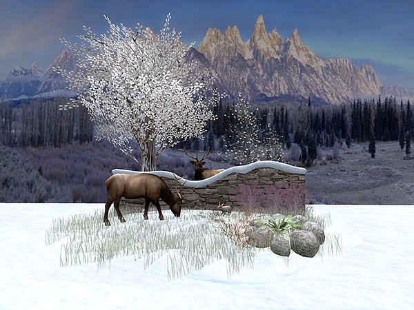 CC - Winter Scene 6