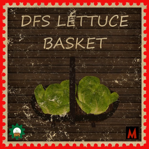 DFS Lettuce Basket