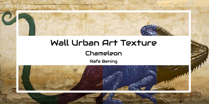 WALL TRIM CAMALEON BOX