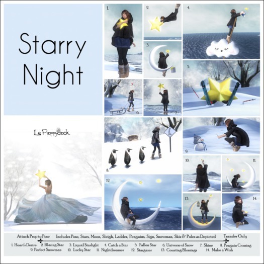 Le Poppycock *Starry Night* Fallen Star