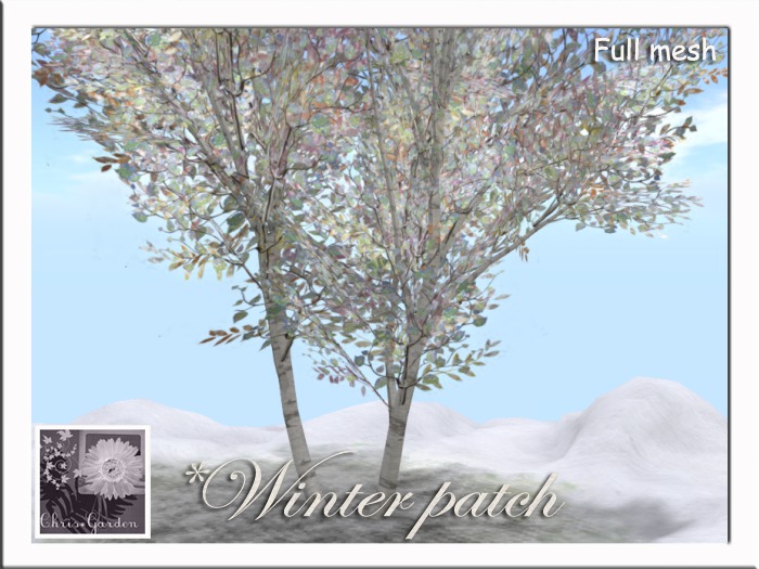 C*Winter patch