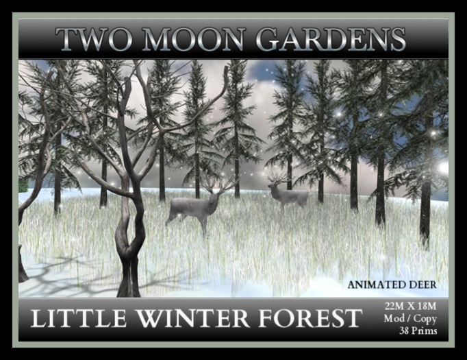 Winter Garden|LittleWinterForest