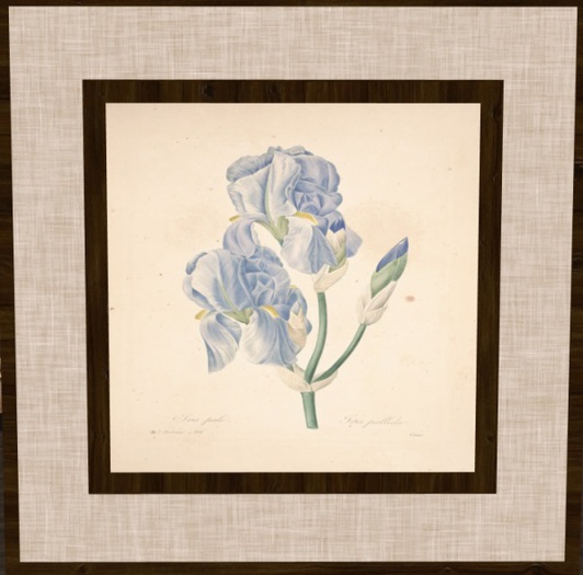 BOTANICAL PICTURE W/TEX CHANGE