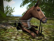 RO - Sleigh Bells - Butterscotch RARE