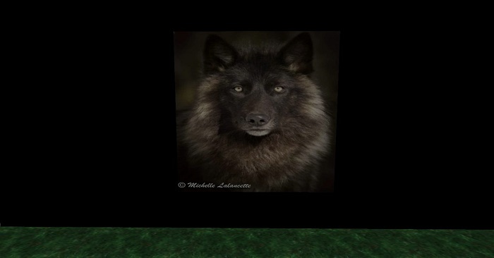 BLACK WOLF LUCKY CLICK