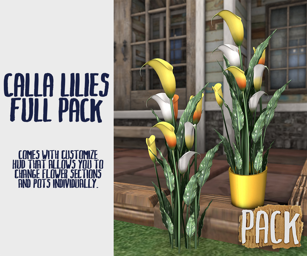PACK / Calla Lilies - Full Pack