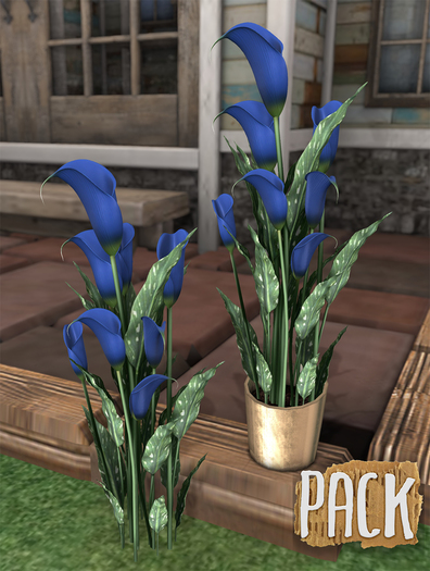 PACK / Calla Lilies - Navy