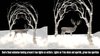 Second Life Marketplace - AA Country Arch of Lights Reindeer