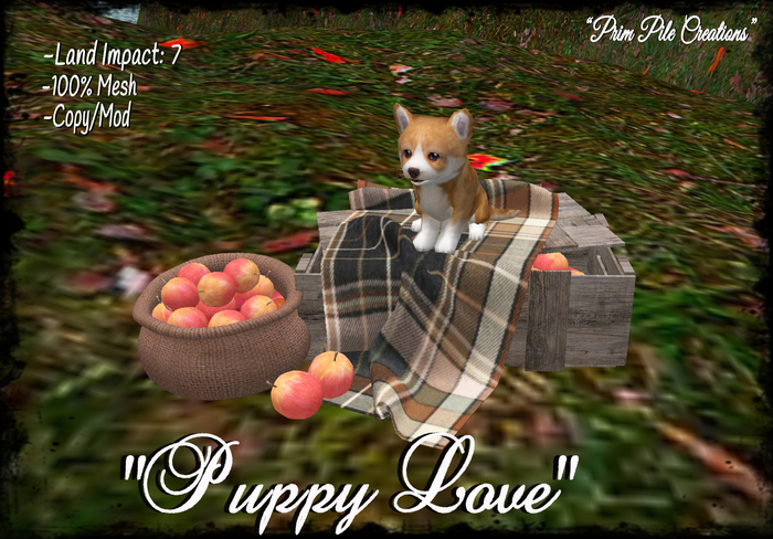 ~PPC~ Puppy Love BOXED