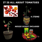GP 4 - it is all about tomatoes