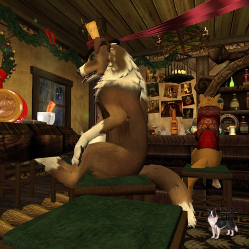 wolf_chair_sit_back