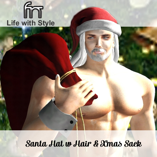 [FN] Santa Hat&Sack - Suit Bag WEAR