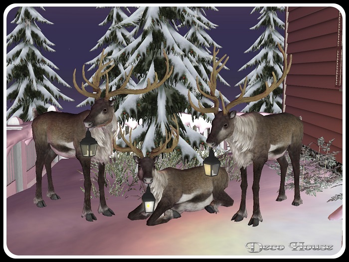 Reindeer With Lantern