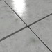 Snapshot 006