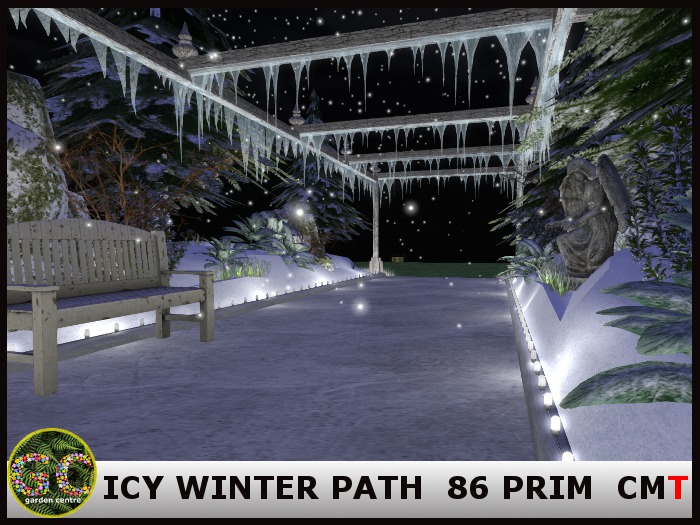 ICY WINTER PATH