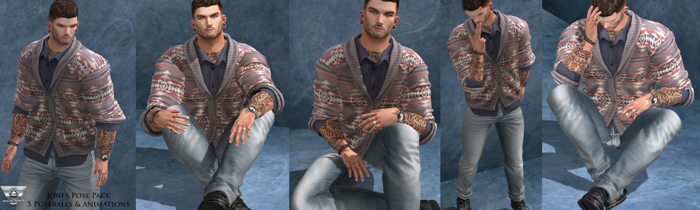 Valor Poses-Jones Pose Pack