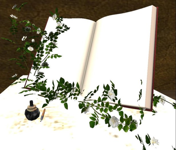 Wedding Guest Book and Table