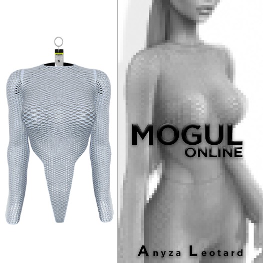 Anyza Leotard — Slate
