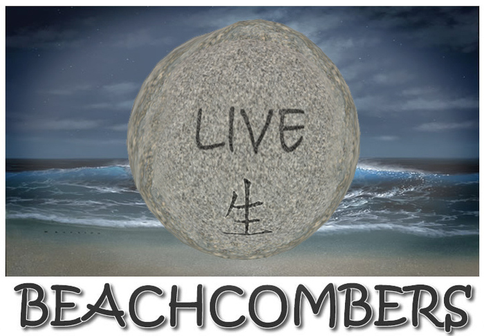 Beachcombers Pathway Stone - Black - Live