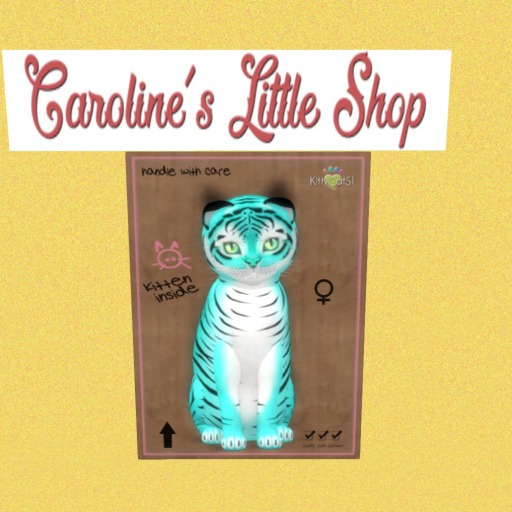 KittyCatS Box - F - 9T - Tiger! Turquoise