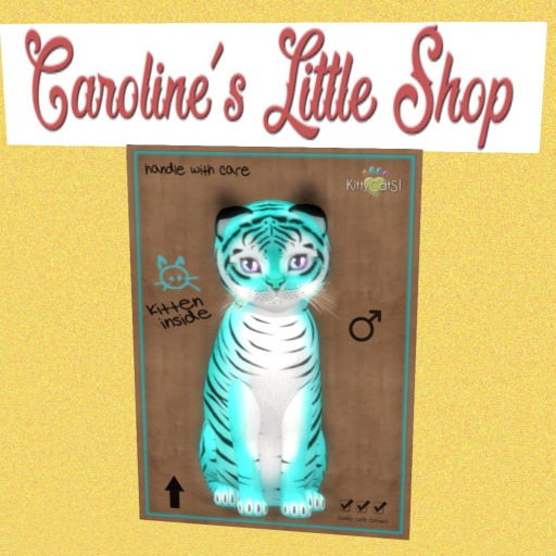 KittyCatS Box - M - 8T - Tiger! Turquoise