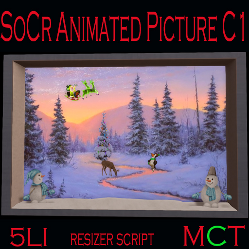 SoCr Animated Picture C1