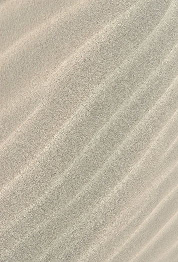 Rug 244 (The Sand Rug)