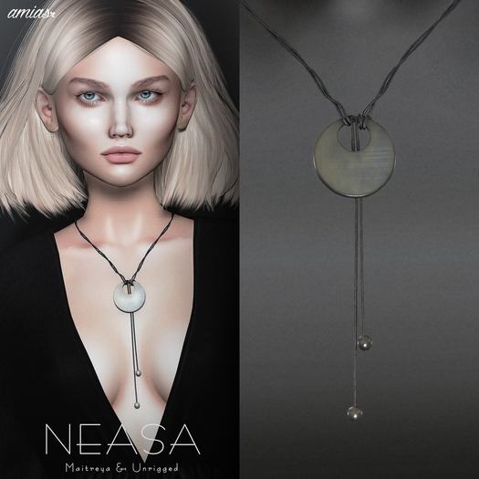 amias - NEASA 2