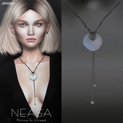 amias - NEASA 4