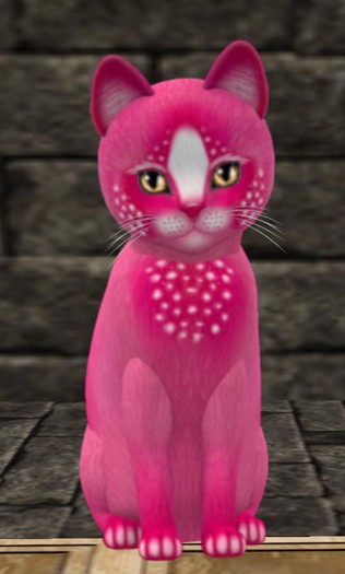 KittyCats -: Confetti - PinkBerry mr. Fan GOR(+120)