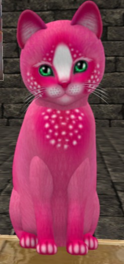 KittyCats - Confetti - PinkBerry- mr.Meko GOR(+120)