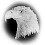 Eagle Rentals - Mainland Rentals & Skyboxes Eagle Rentals - Mainland Rentals & Skyboxes