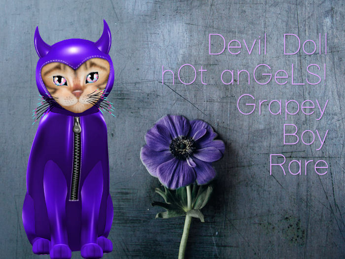 KittyCatS Box - Devil Doll - hOt anGeLS! - Grapey - Boy - Rare