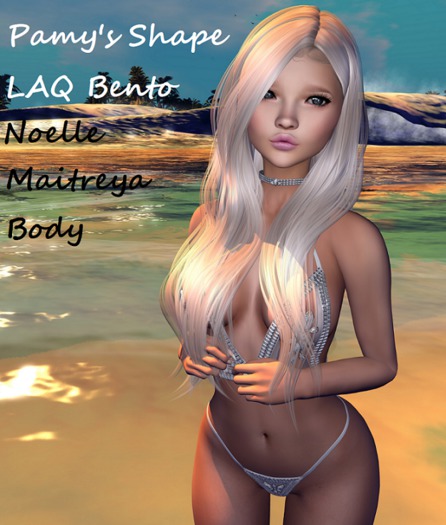 *PS* - Pamy's Shape - For LAQ Noelle BENTO head
