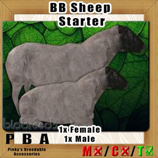  BB Sheep Pair Starter