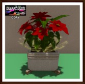 Christmas - Indian Vase with Poinsettia - Golden
